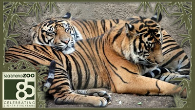 sacramento zoo coupons printable 2019